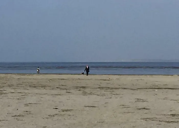 Schoener Ausblick Апартаменты *