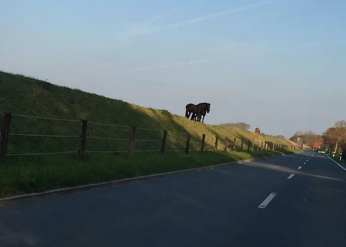 Schoener Ausblick Daire *